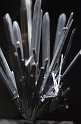 Kids_PNaSMuseum-2013 (54)